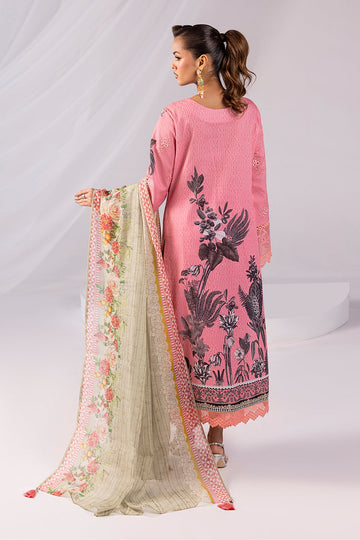 Imrozia Premium SP-65 Sabeen Online Shopping